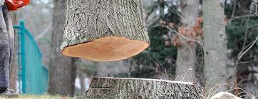 Best Firewood Processing and Delivery  in Linntown, PA